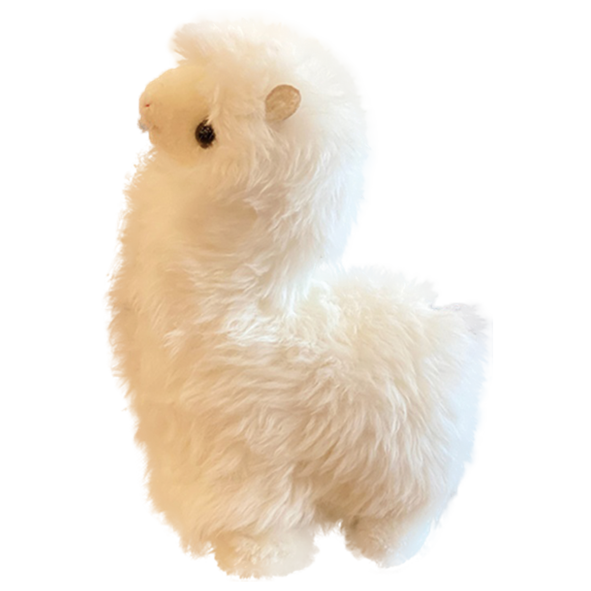 AusGolden™ Suri Alpaca Australian Pure Wool Pal Doll
