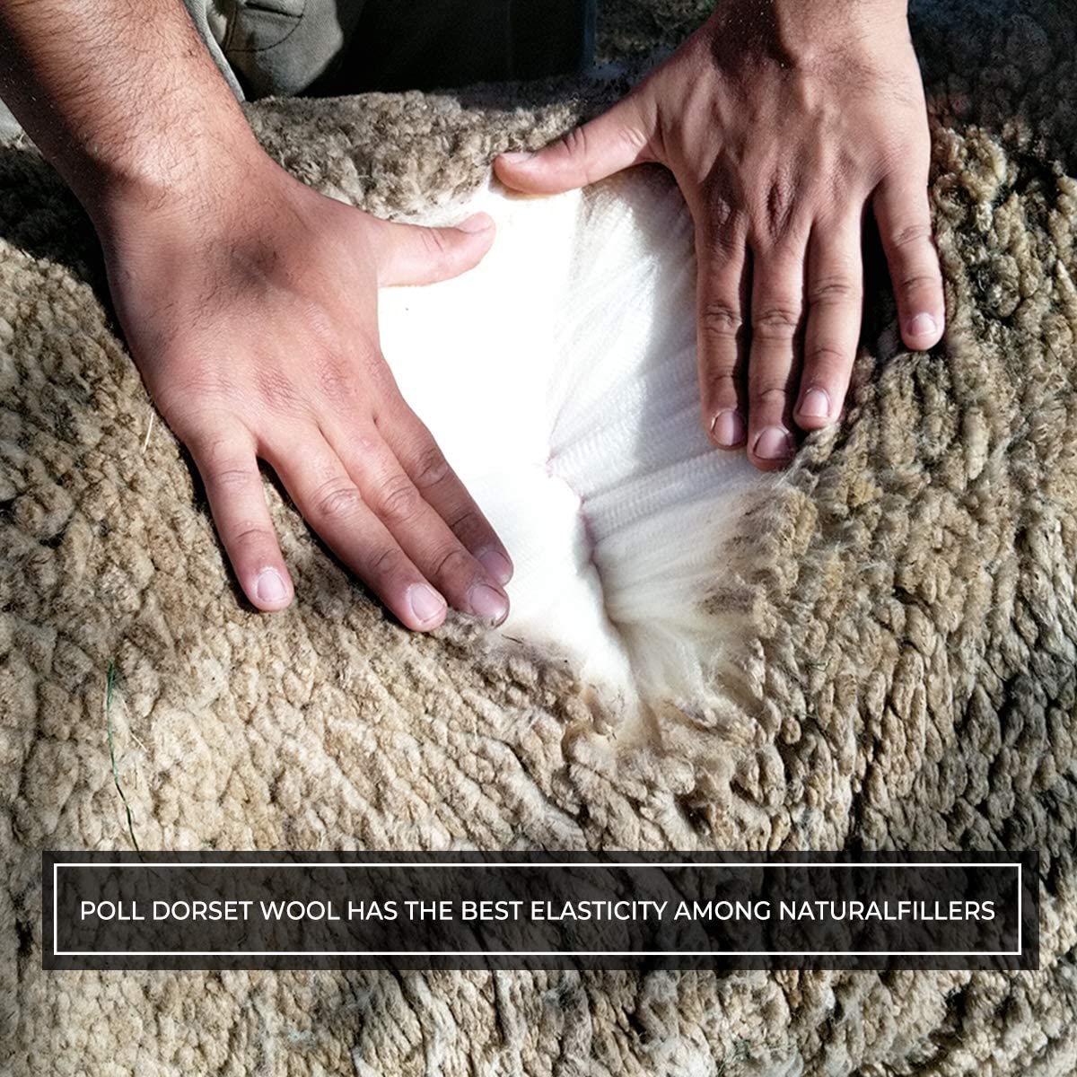 AusGolden™ Baron Australian All Seasons Wool Quilt 350GSM