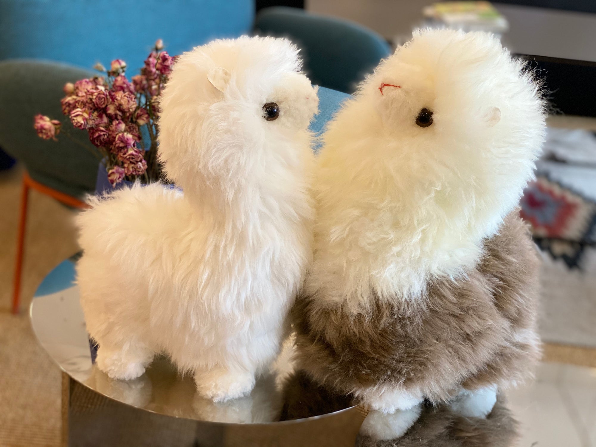 AusGolden™ Suri Alpaca Australian Pure Wool Pal Doll