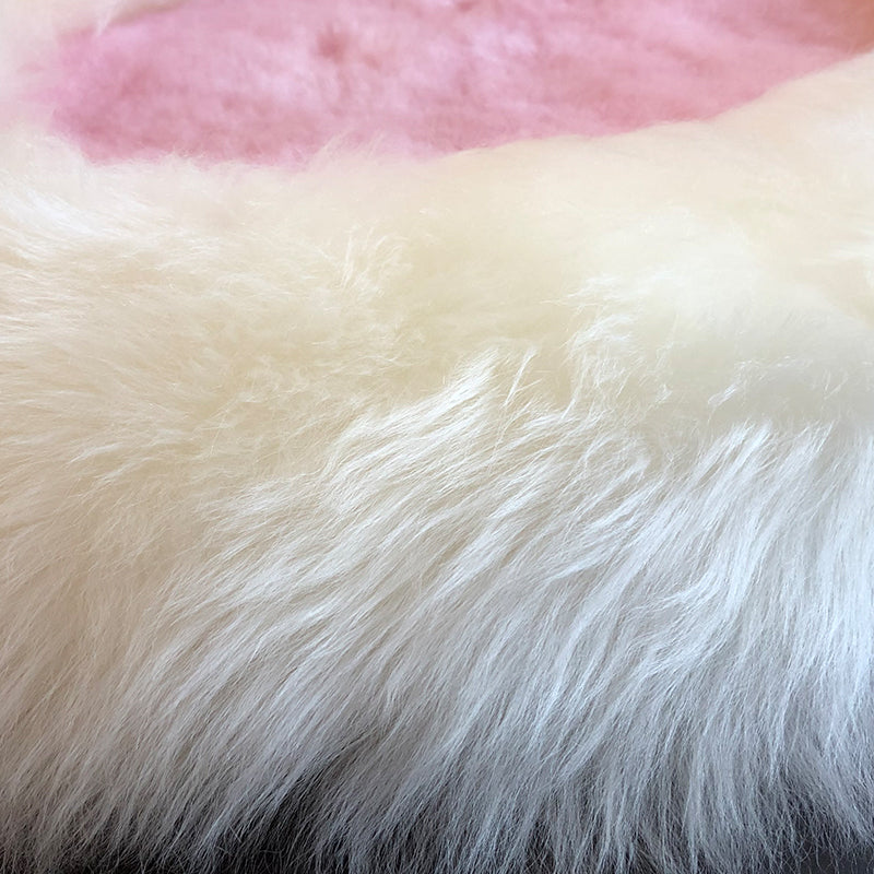 AusGolden™ Longyearbyen Paw Australian Pure Wool Pillow