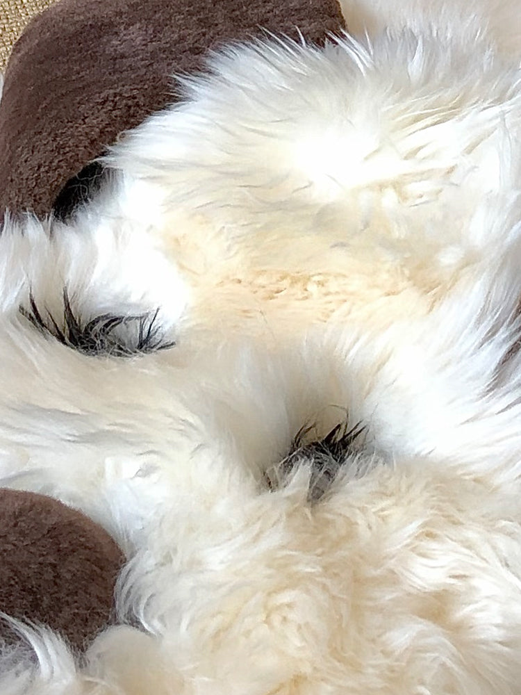 AusGolden™ Balto Dog Pal Australian Pure Wool Rug