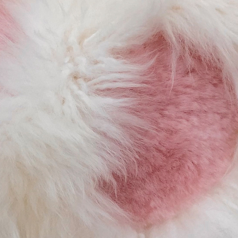AusGolden™ Longyearbyen Paw Australian Pure Wool Pillow