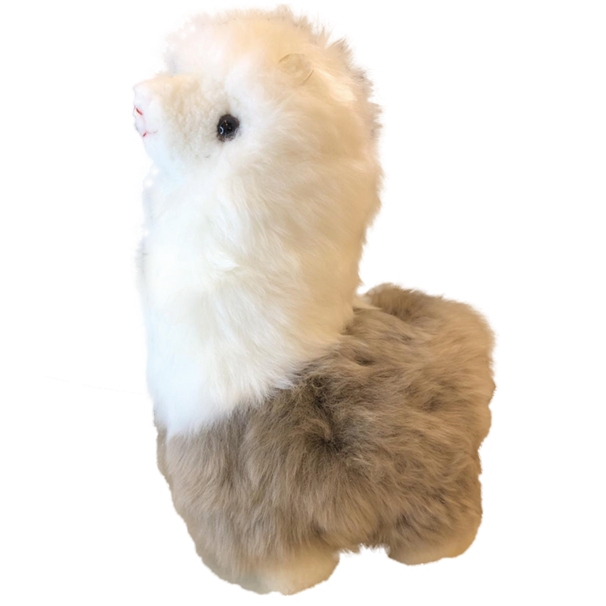 AusGolden™ Suri Alpaca Australian Pure Wool Pal Doll